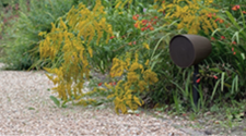 Outdoor Speakers category image
