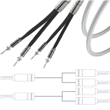 Atlas Asimi Grun Transpose Speaker Cable 2:4 (Terminated Pairs)