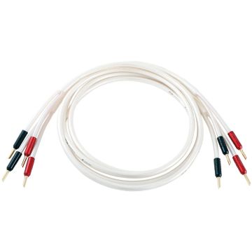 Atlas Equator Achromatic Z 3.5 Speaker Cables (Terminated Pairs)