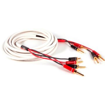 Black Rhodium Jive Bi-Amp Speaker Cable - Terminated Pairs