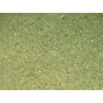 Linn Green Stylus Paper
