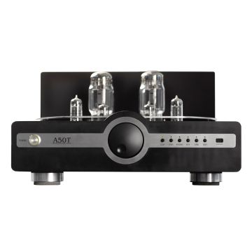 Synthesis A50 Taurus Valve Amplifier - Angle