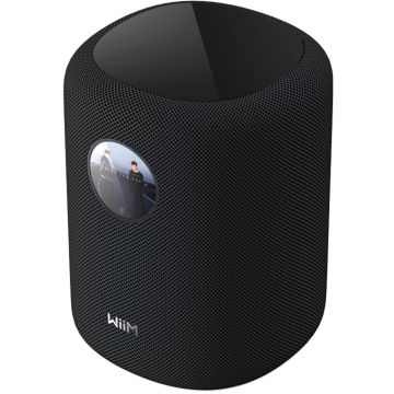WiiM Sound Wireless Speaker