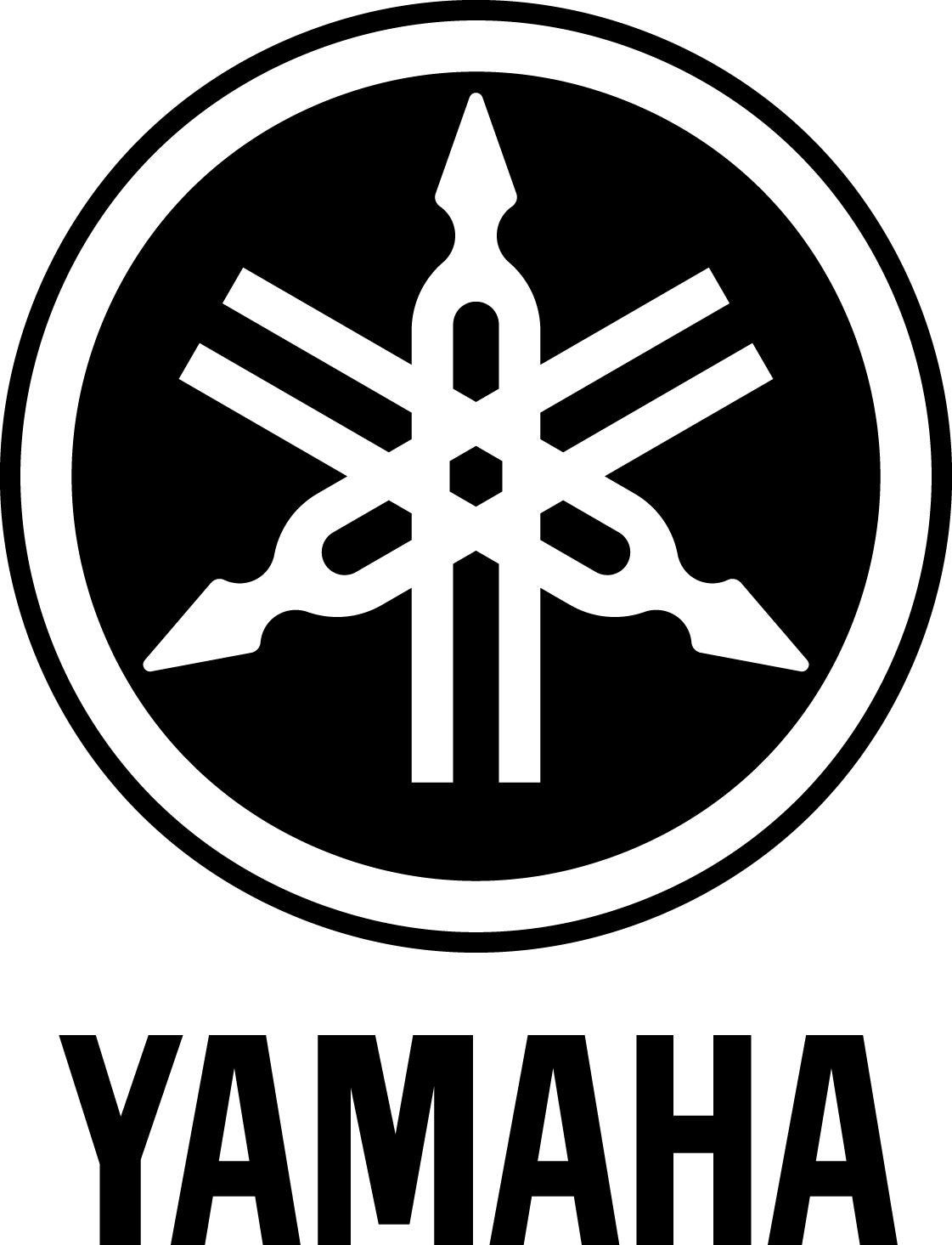 2011 Yamaha Systems - Keeping ahead of Curve