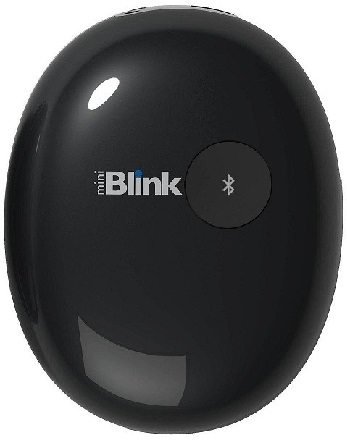 miniblink