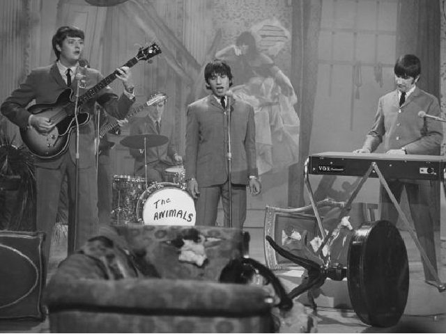 the-animals-live