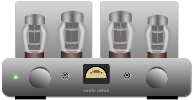 integrated_valve_amp