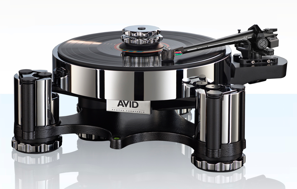 avid-acutus