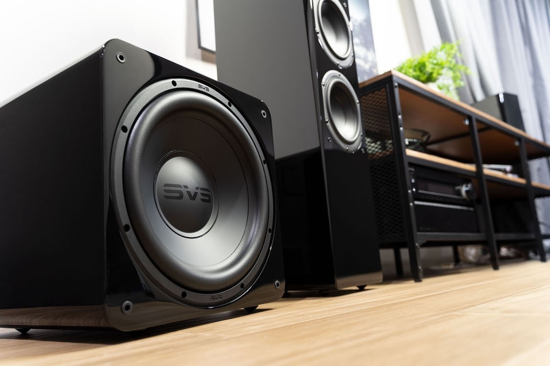 SVS 1000 Pro